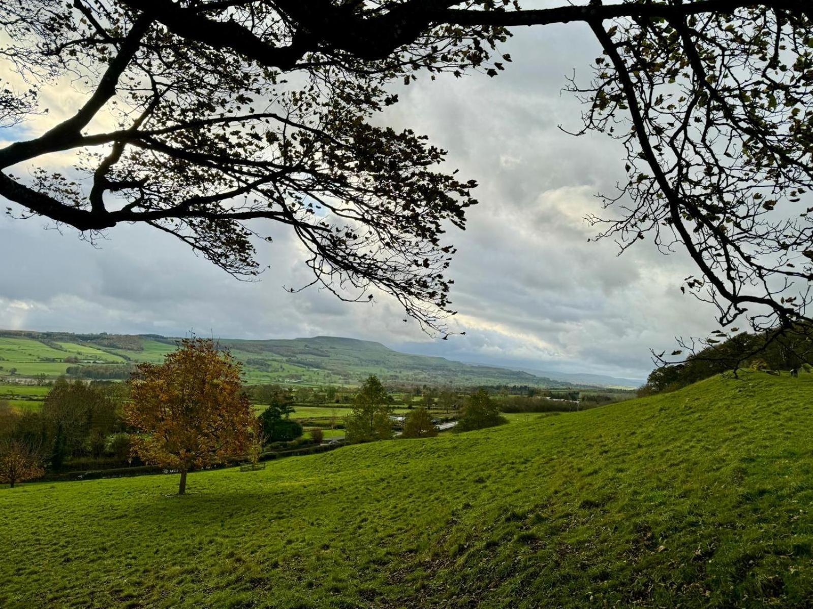 The Coach House On Love Lane - 3 Stunning Apartments In The Yorkshire Dales レイバーン エクステリア 写真